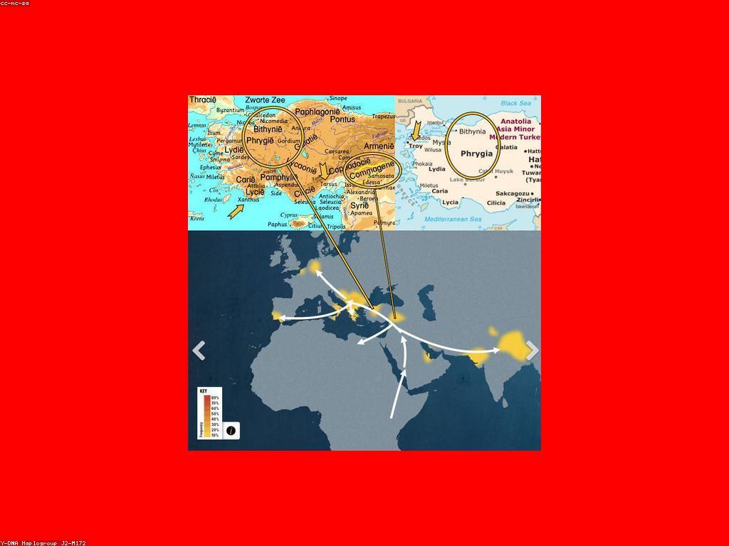 ការវាយតម្លៃស្លុត: គន្លឹះសំខាន់សម្រាប់ការអភិវឌ្ឍន៍គម្រោង