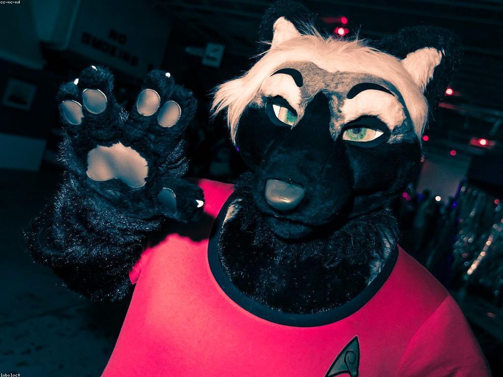 ការណែនាំអំពីបៀ