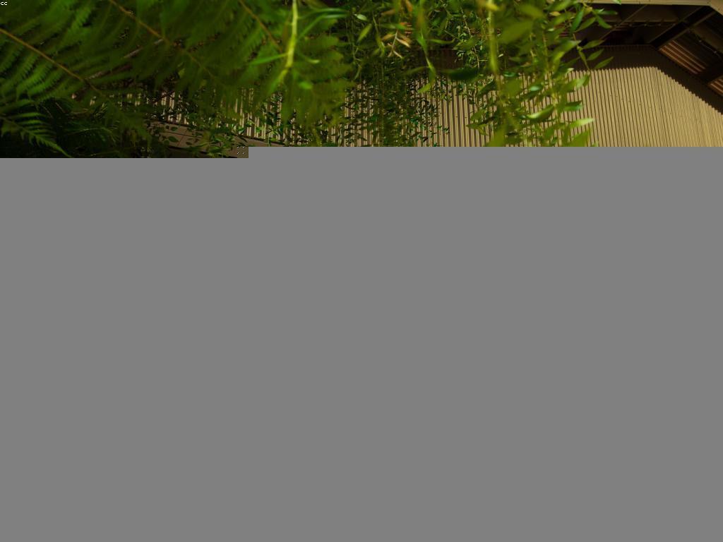 ការតម្រូវបៀជាមួយម្ហូប